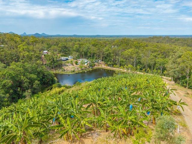 INSTANT INCOME Large Scale Banana Farm with Multiple Income Producing Residences