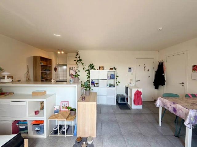 Instapklaar 1 slaapkamerappartement binnen de ring van Tielt!