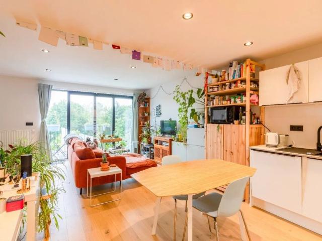 Instapklaar 2 slp. appartement met terras en grote gemeenschappelijke tuin