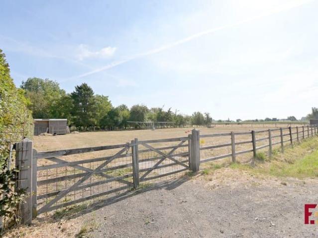 Instapklaar wonen met paarden aan huis in Wetteren