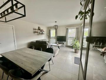 9636, Audenarde, Flandre orientale, Flandre