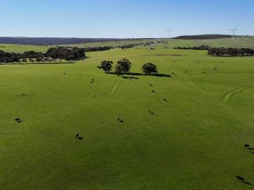 Institutional Mixed Farming Asset with Long Term Lease