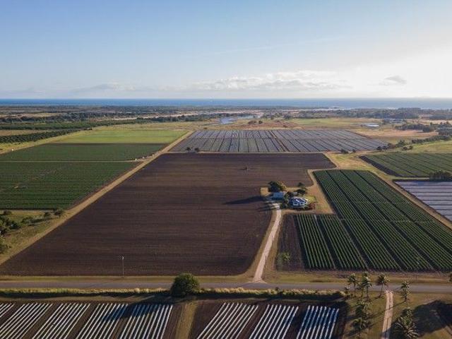 Institutional Scale Horticultural Enterprise with 617ML* of Water Entitlements & a Packing Shed Facility