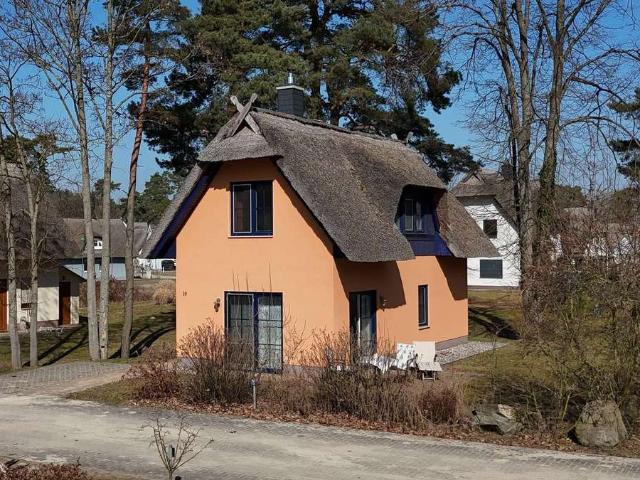 Insel Idyll unter Reet: Modernes Komfort Ferienhaus mit Kamin im Fischerdorf Zirchow