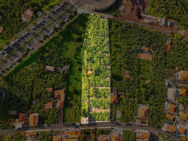 Investimento na Madeira: Terreno de 4800 m² com vista para o mar no Funchal