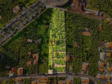 Investimento na Madeira: Terreno de 4800 m² com vista para o mar no Funchal