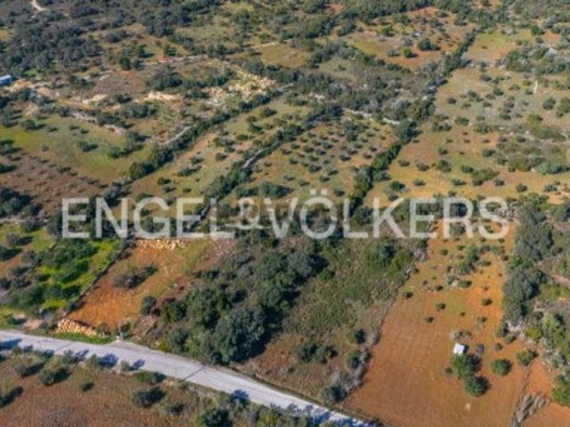 Investimento: Parque de Autocaravanas em São Brás de Alportel