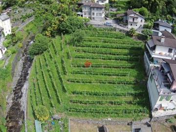 Stradón, Verscio, Verscio, Terre di Pedemonte, Gemeinde Melezza, Bezirk Locarno, Tessin