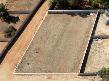 Investment Opportunity! Expression of Interest