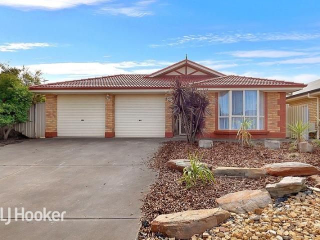 Investors, Rentvesters or Future Owner Occupiers!