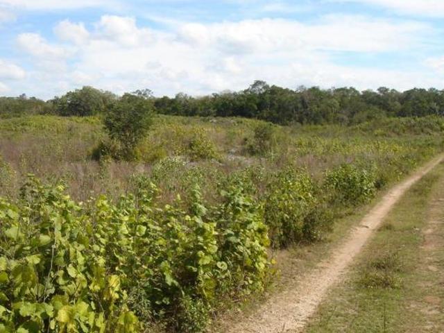 Terreno venta en Chichen Itza, Yucatan