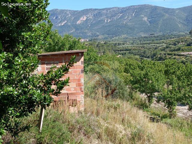 INVERSORES