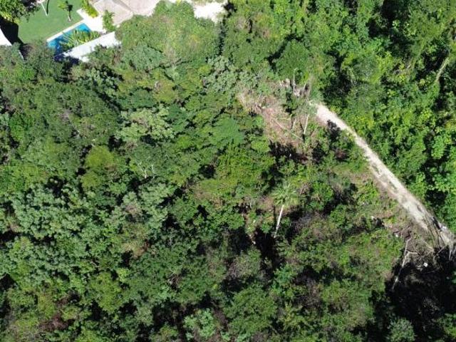 Invierte en Playa del Carmen: terreno con alto potencial