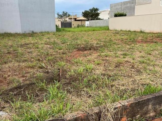Invista com Estilo: Terreno de 500m² Esperando por Suas Ideias Inovadoras!