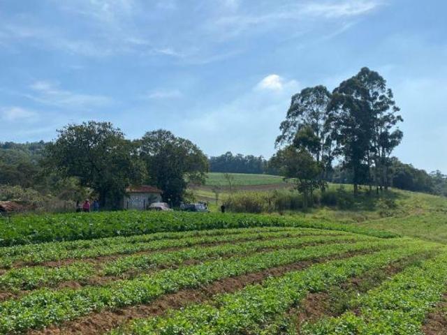 Invista em Ibiúna: lotes de 500 m²