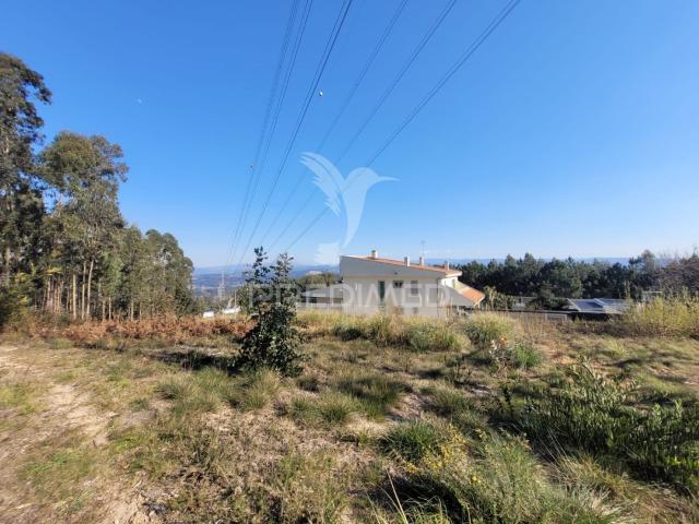 Invista em Terreno com Área Construível em Zona Rural com Bons Acessos