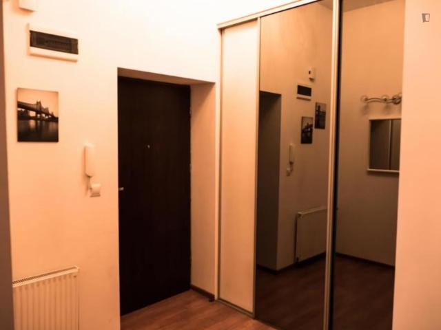 Inviting 2 bedroom apartment near Wawel castle