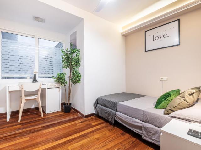 Inviting single bedroom in the Centre district