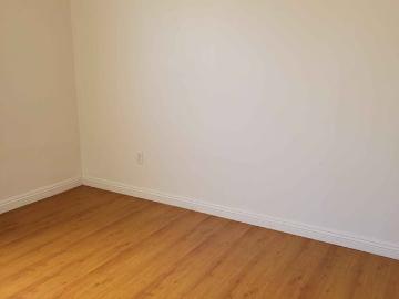 Los Angeles, Raymondville CCD Willacy County Texas, Willacy County, Texas, USA