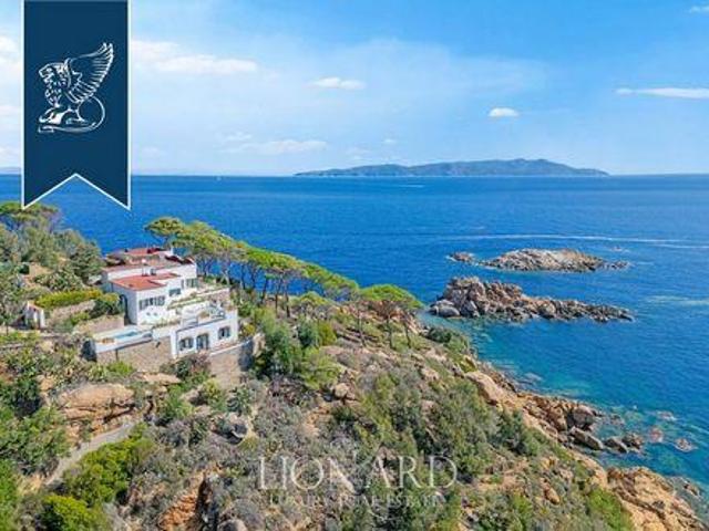 Isola del Giglio Grosseto 104439571