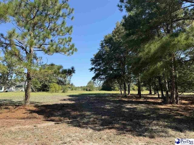 Isaiah Dr Lot 4, Dillon, SC 29536