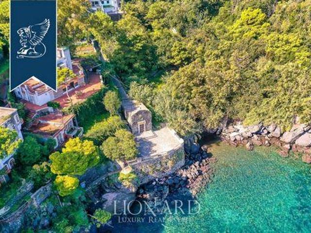 Ischia Napoli 96317244