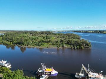 Island Life Pelican Island