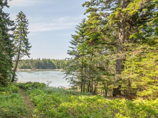 Island Retreat Rd, Swans Island, Home For Sale
