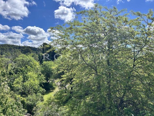 Isle sur la Sorgue en Colline superbe maison ancienne de 160. 160m² Velleron
