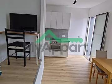 Issy les Moulineaux 92130 Location appartement 1 pièce t1