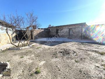 Çıplaklı, Alanya, Alanya, Antalya ili, Akdeniz Bölgesi