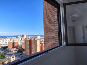 Palmeral de las Sorpresas, Casco Antiguo de Málaga, Málaga, Málaga, Andalucía, Andalucía