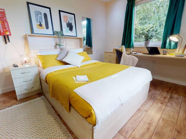 iQ Ty Willis House, Bangor Student Accommodation | Amber