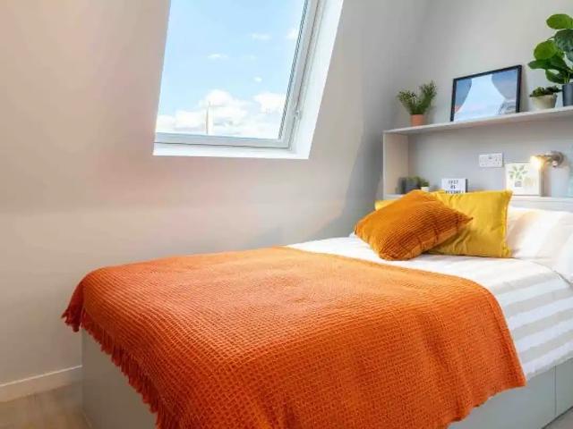 iQ City London Student Accommodation | Amber