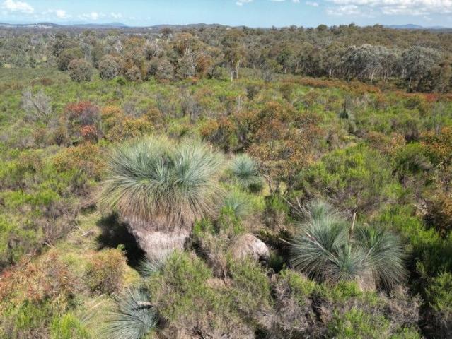 IRONBARK HAVEN near HEATHCOTE