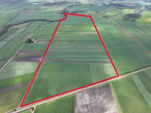 Irrigated Cane Farm Wandarra Road, Proserpine 111.3 Hectares | 400ML Water Allocation | Established Irrigation