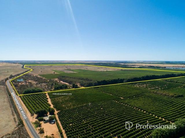 Irrigated Agri Development Farm 273.6Ha