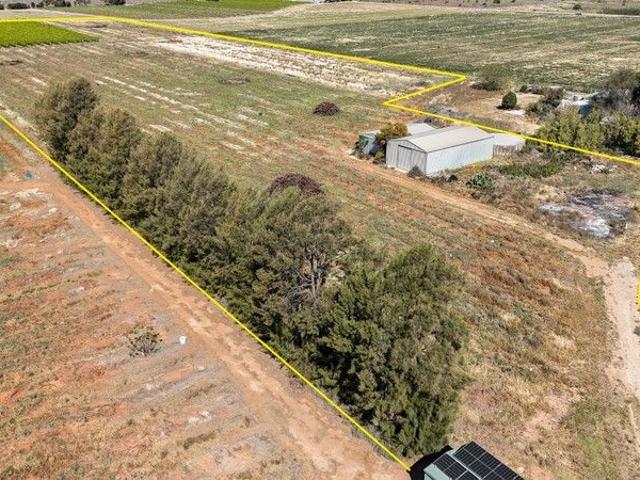 Irrigated Lifestyle or Horticulture Property 4.423ha with Sheds, Water Infrastructure & Vineyard