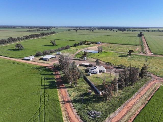 Irrigation, Cropping & Fattening Country 216.51 ha / 535.2 ac* 2026 Cash Crops Included in Sale!
