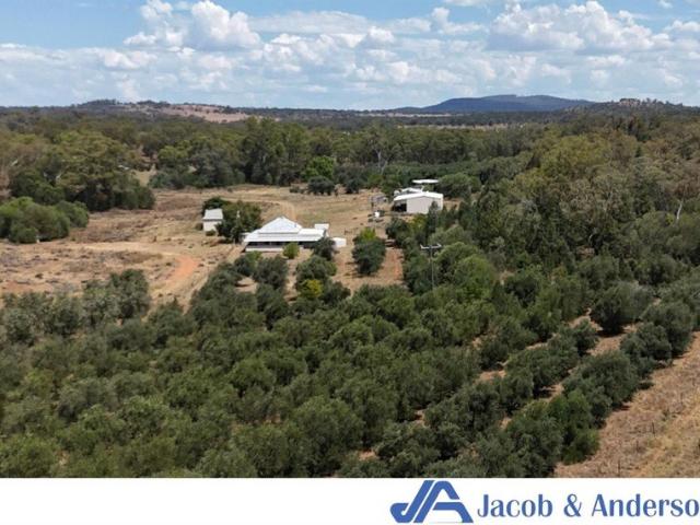 Ivanhoe 217 Hectares 608 Acres