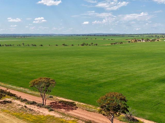 IVEYDALE FARMS SOUTH KUNUNOPPIN 1507 ha 3724 acres