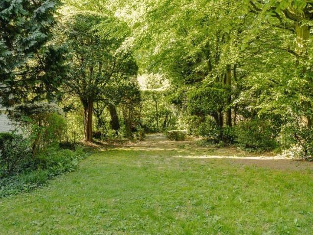 Ixelles I Square du Bois