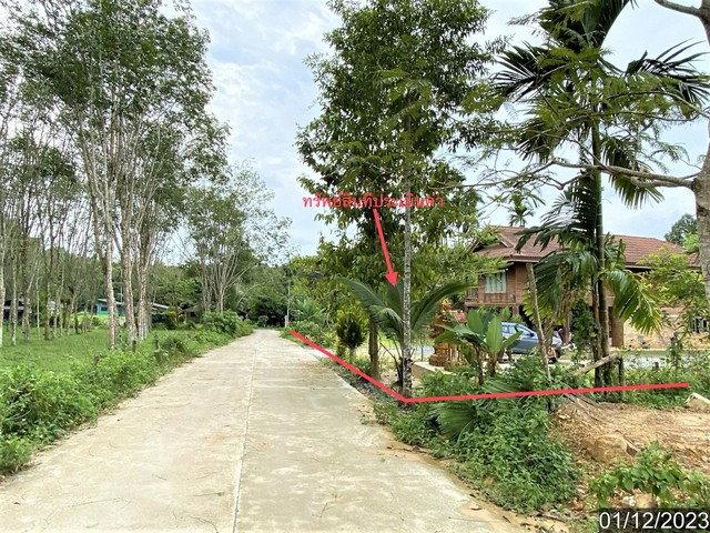 J14472 ขายบ้านเดี่ยว ถ้ำใหญ่ อำเภอทุ่งสง นครศรีธรรมราช