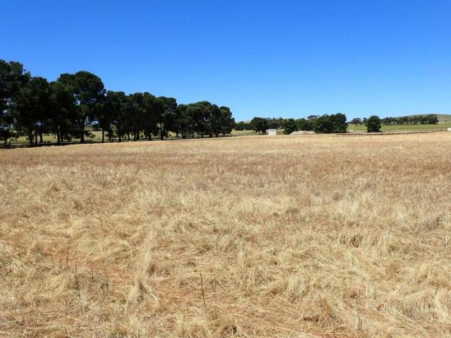 Land Jamestown SA 101909457