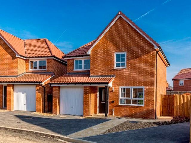 Janaki Ammal Avenue, Cringleford, Norwich NR4, 3 bed semi detached house to rent, £1,875 pcm | PrimeLocation