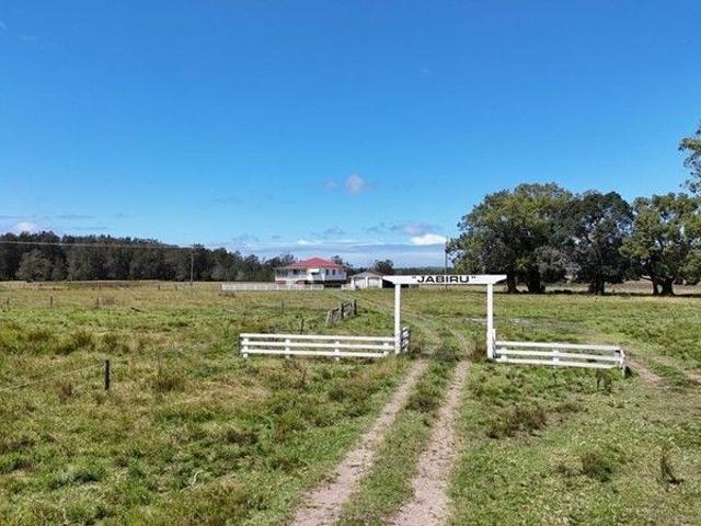 CATTLE COUNTRY BETWEEN CRESCENT HEAD & PORT MACQUARIE