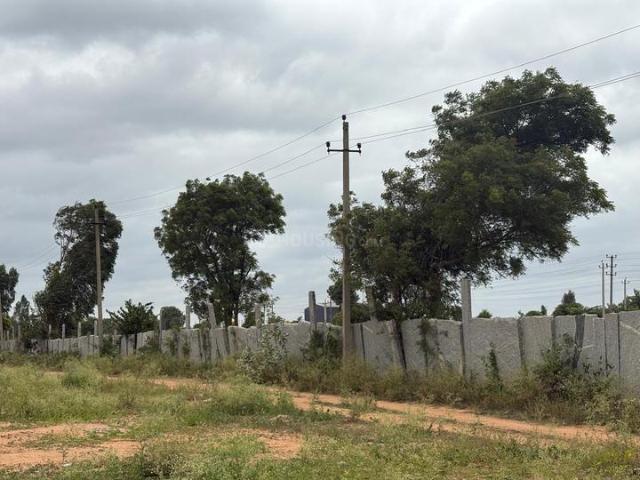 Jadigenahalli Residential Plot For Sale Bengaluru