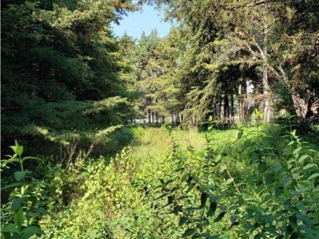 Jajalpa, Ocoyoacac, terreno en venta