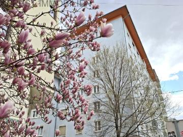 Apartment for rent in 8047 - Keller, Balkon