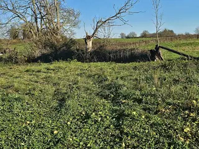 Jalogny 71250 Programme neuf maison neuf à vendre 5 pièces